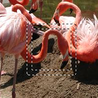 Beispiel für einen Rand an einer Auswahl